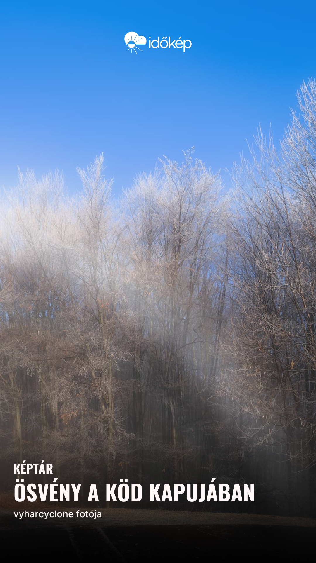 Ösvény a köd kapujában