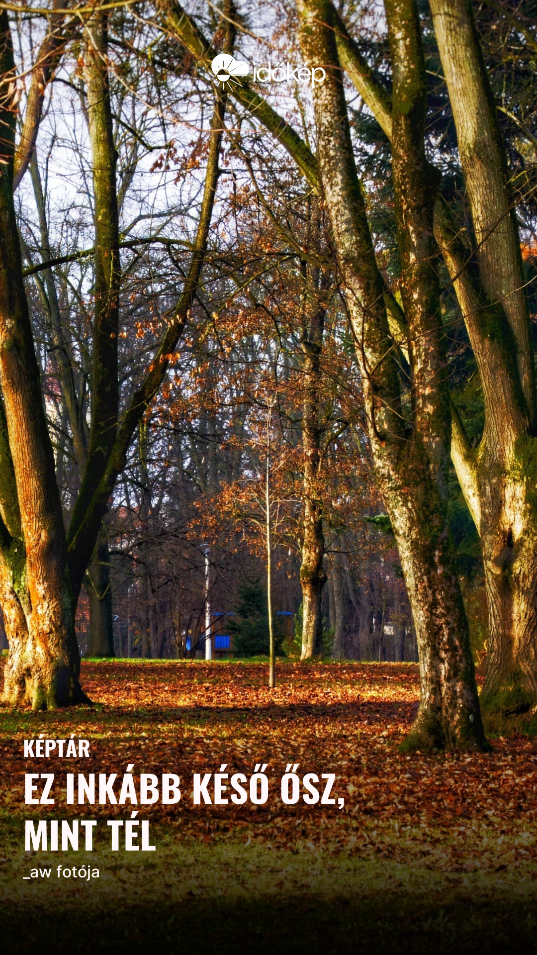 Ez inkább késő ősz, mint tél