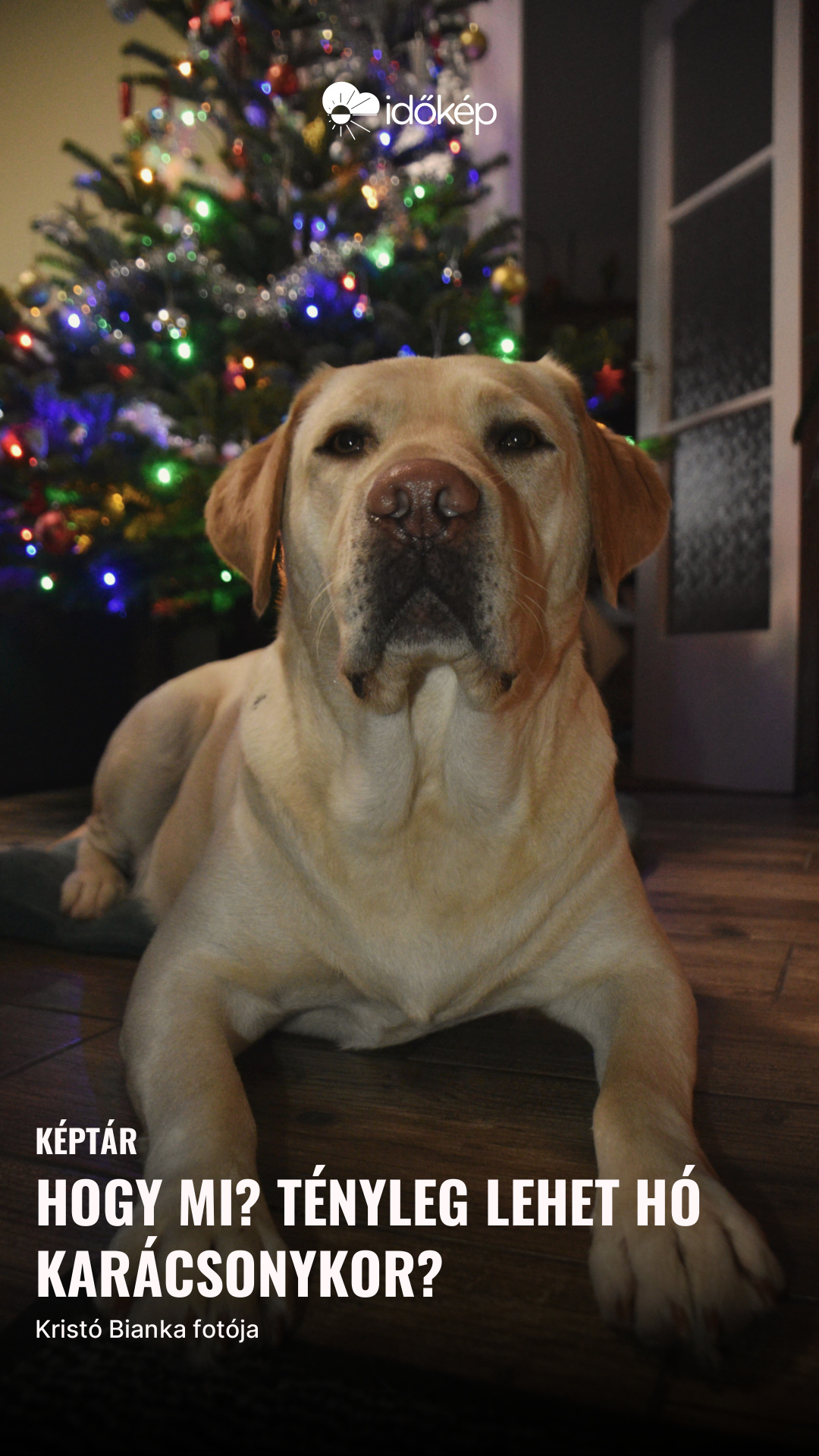 Hogy mi? Tényleg lehet hó karácsonykor?