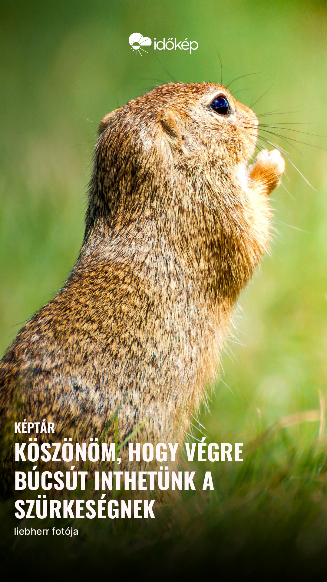 Köszönöm, hogy végre búcsút inthetünk a szürkeségnek