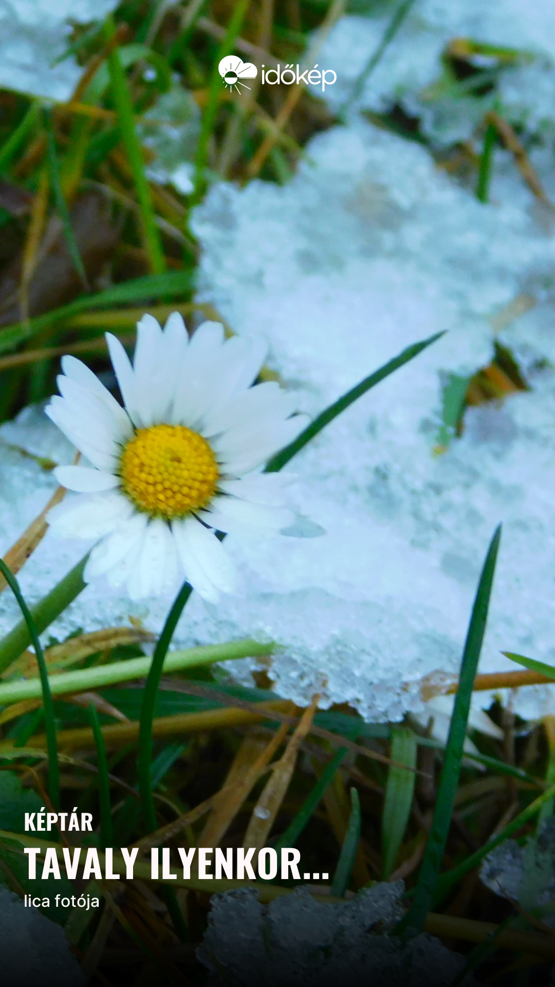 tavaly ilyenkor...