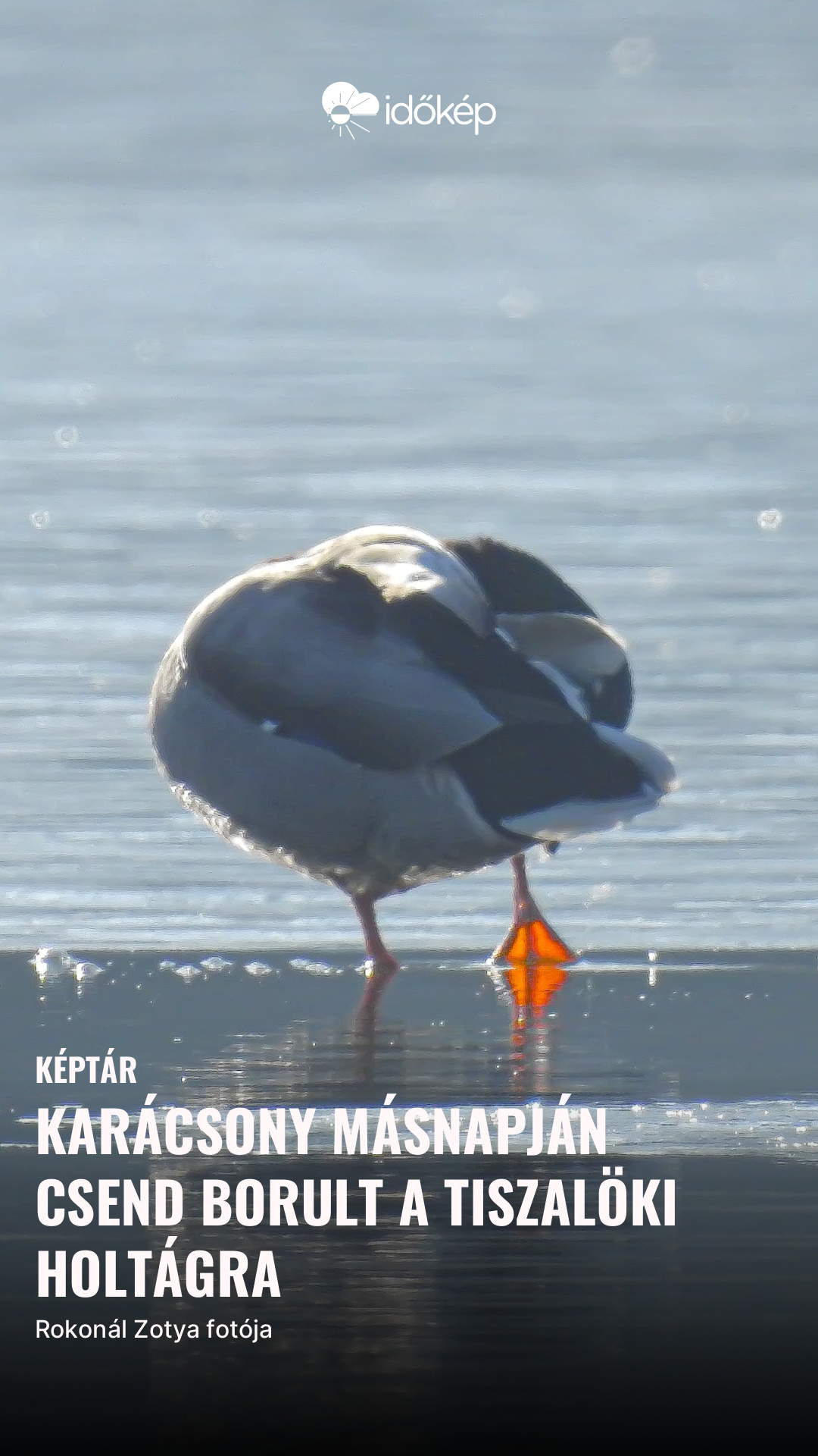 Karácsony másnapján csend borult a tiszalöki holtágra