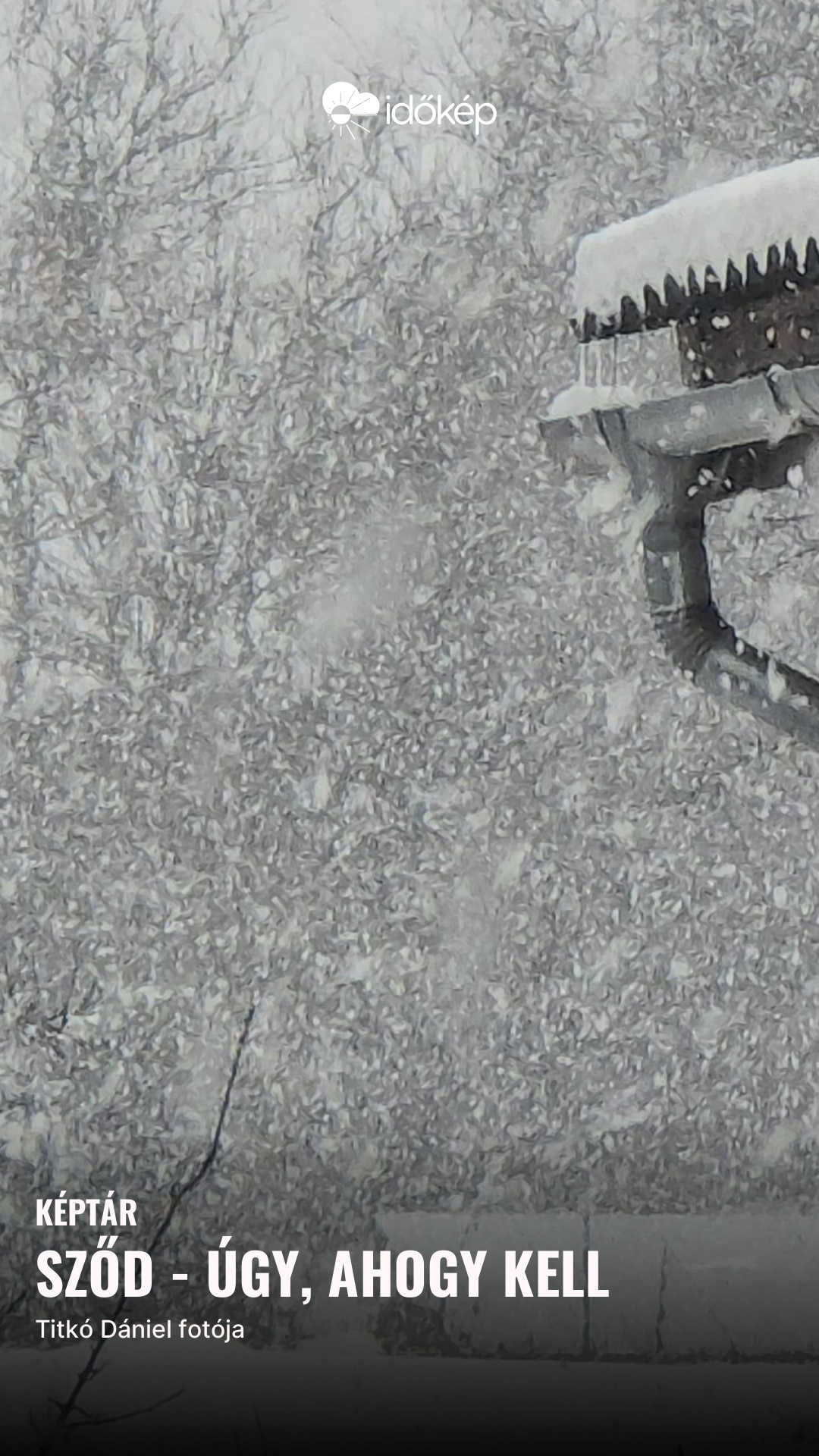 Sződ - úgy, ahogy kell