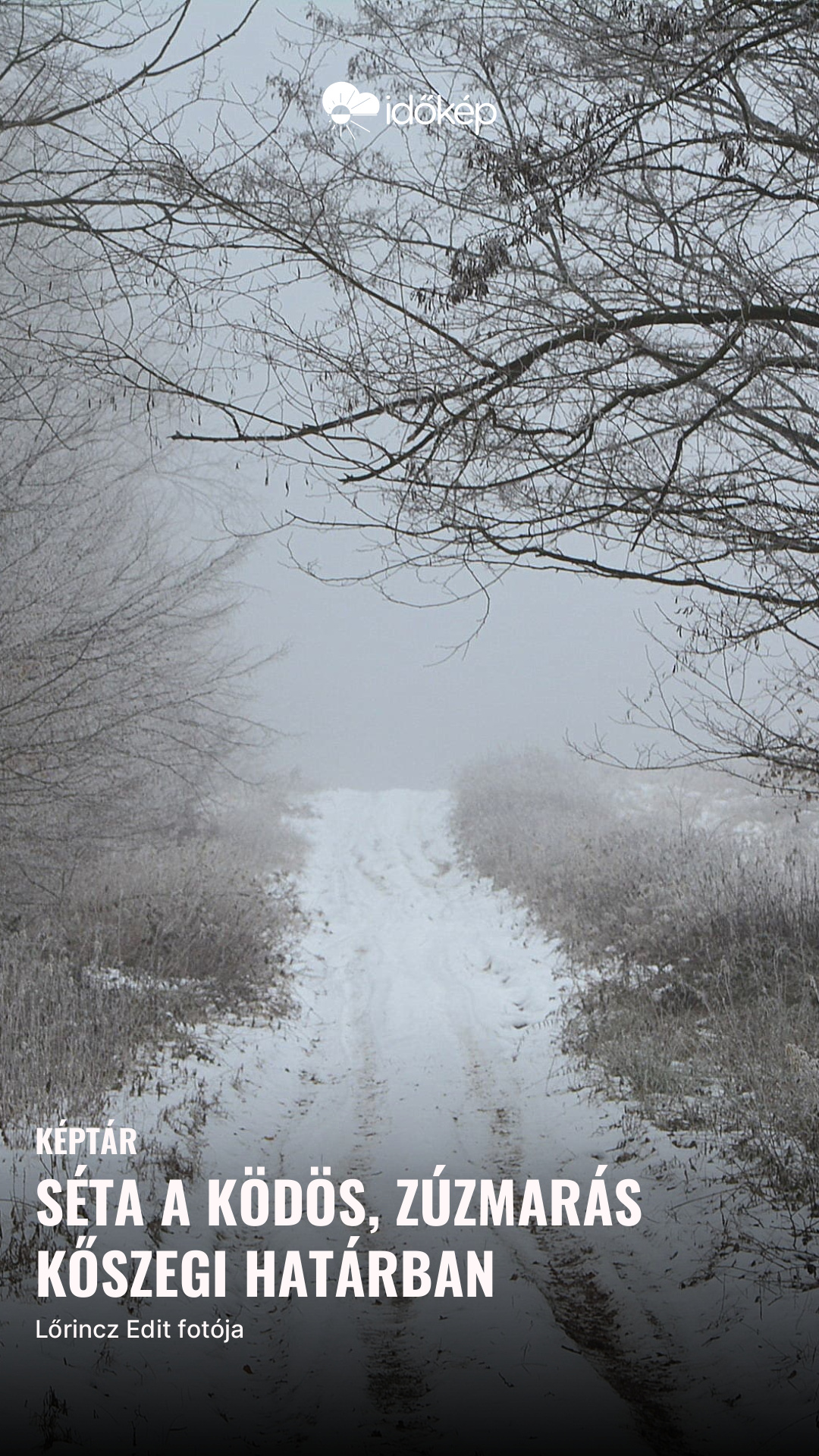 Séta a ködös, zúzmarás kőszegi határban