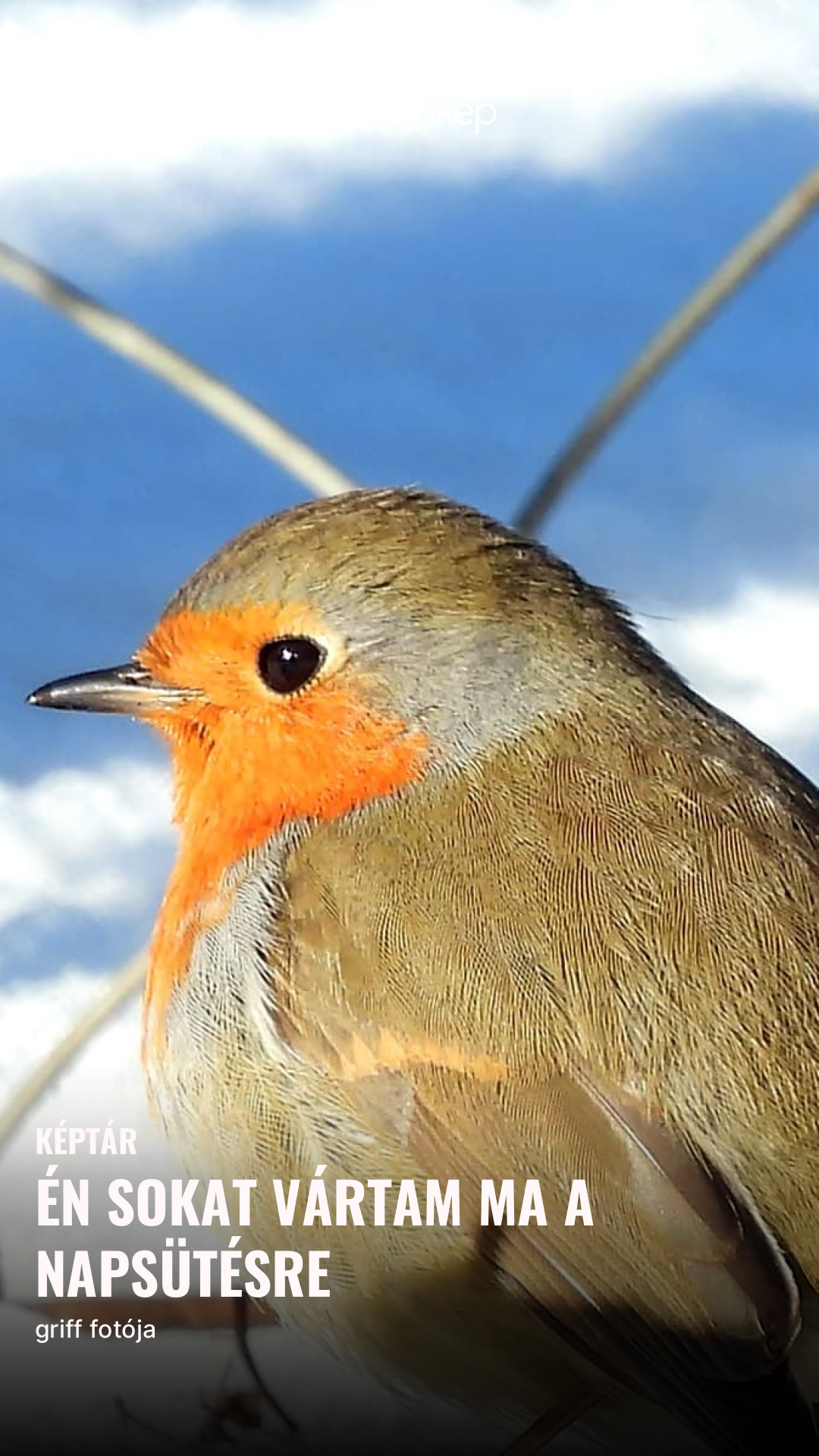 én sokat vártam ma a napsütésre