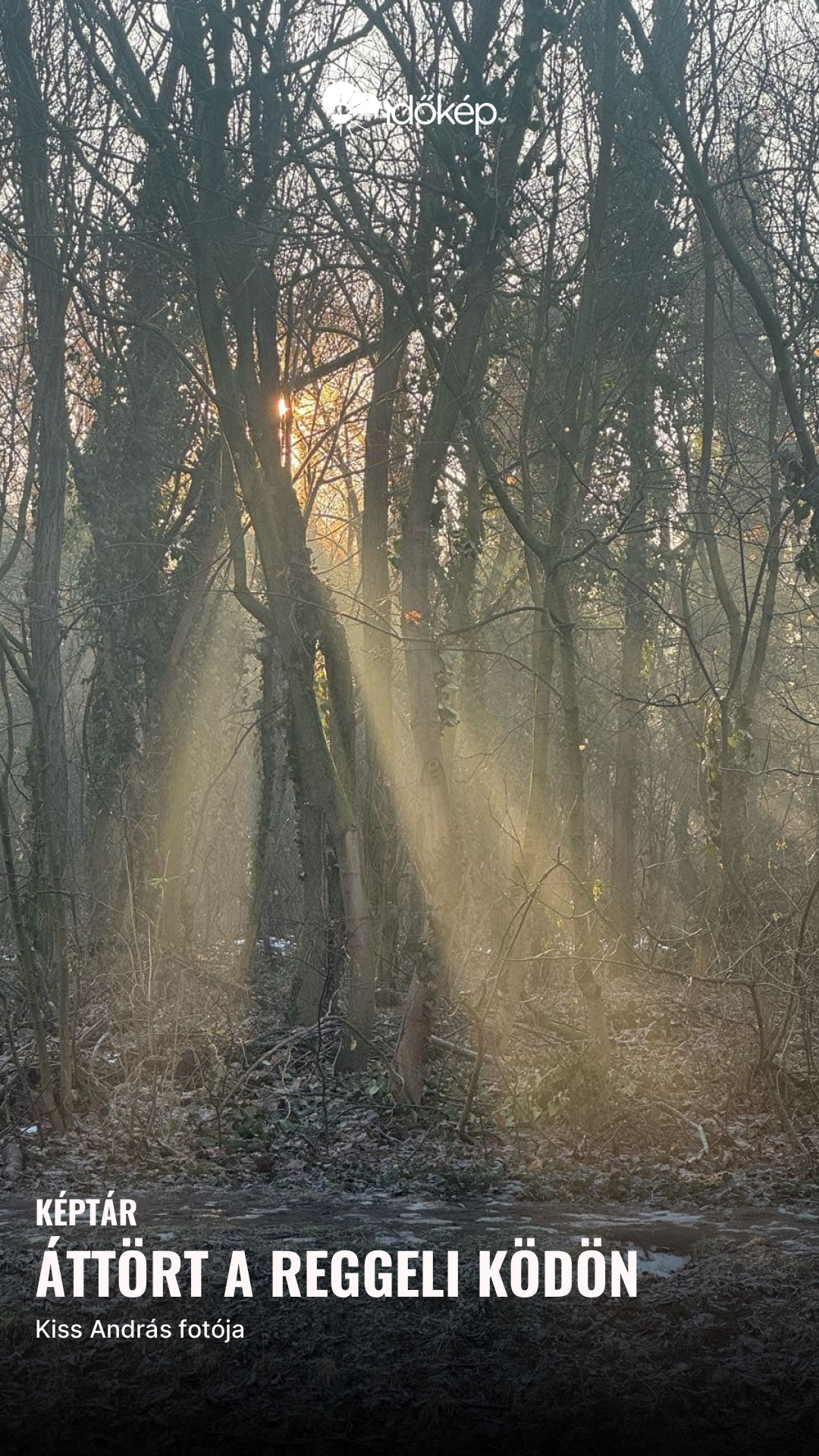 áttört a reggeli ködön