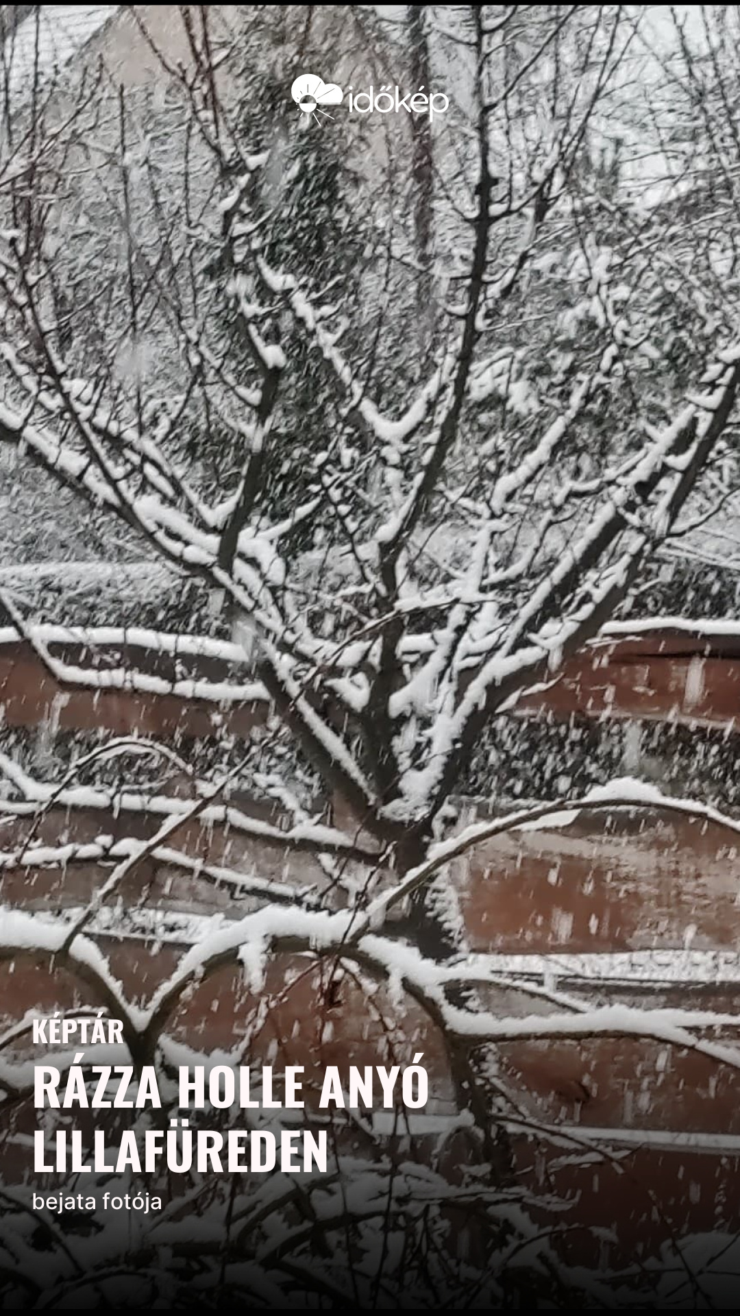 Rázza Holle anyó Lillafüreden