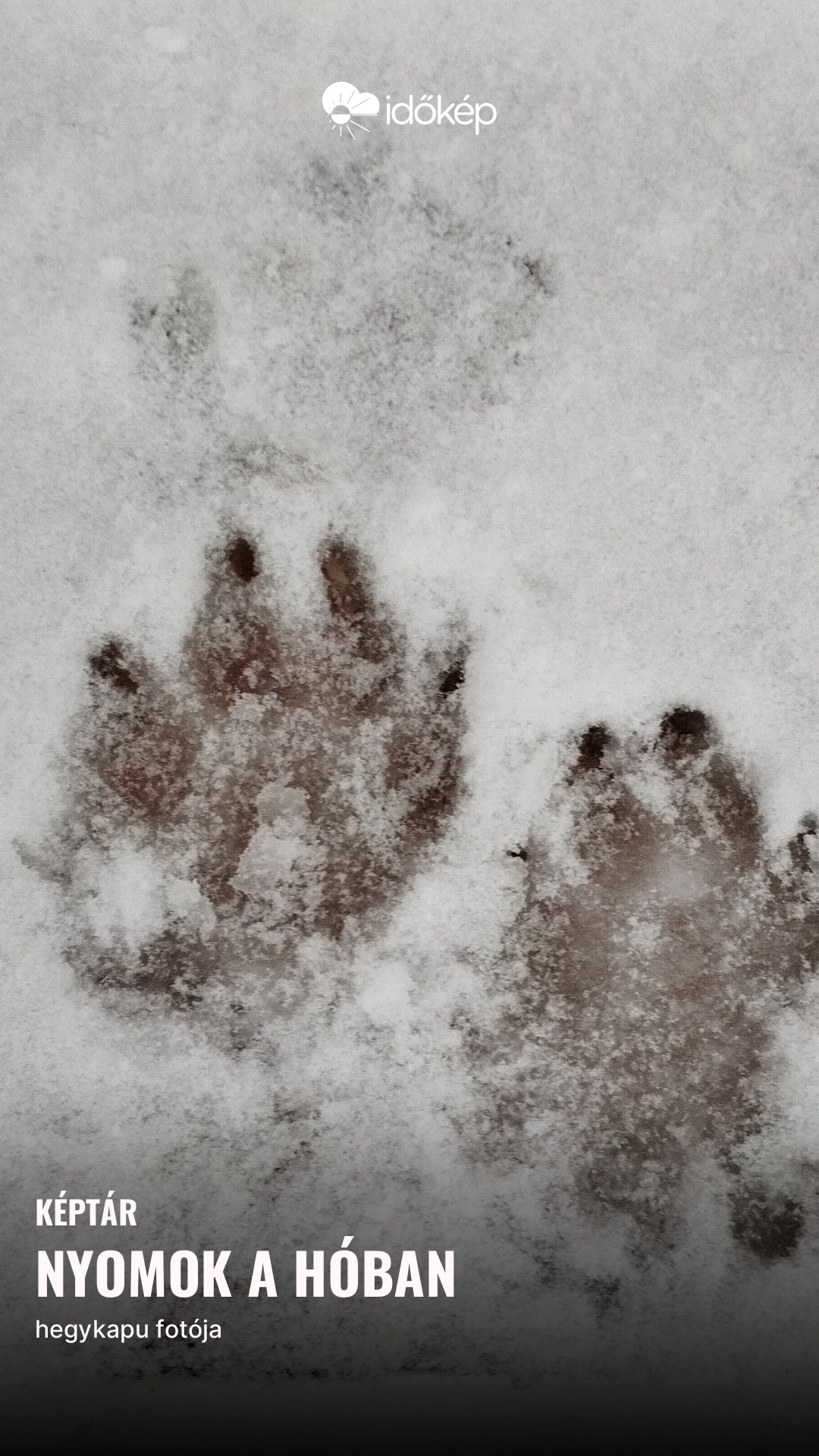 Nyomok a hóban
