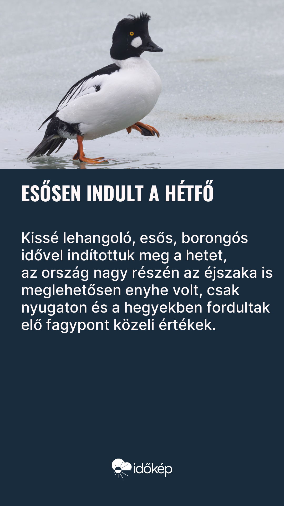 Esősen indult a hétfő