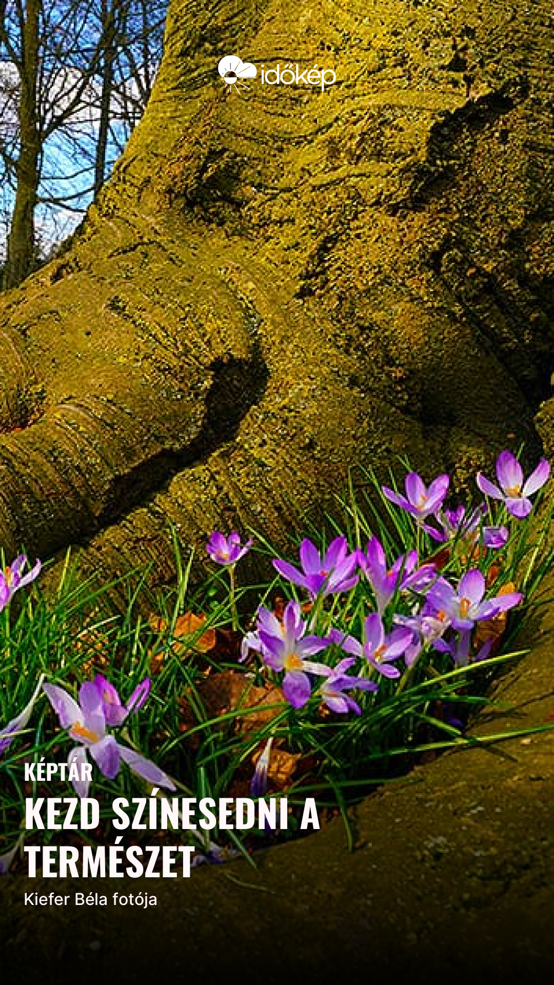 Kezd színesedni a természet