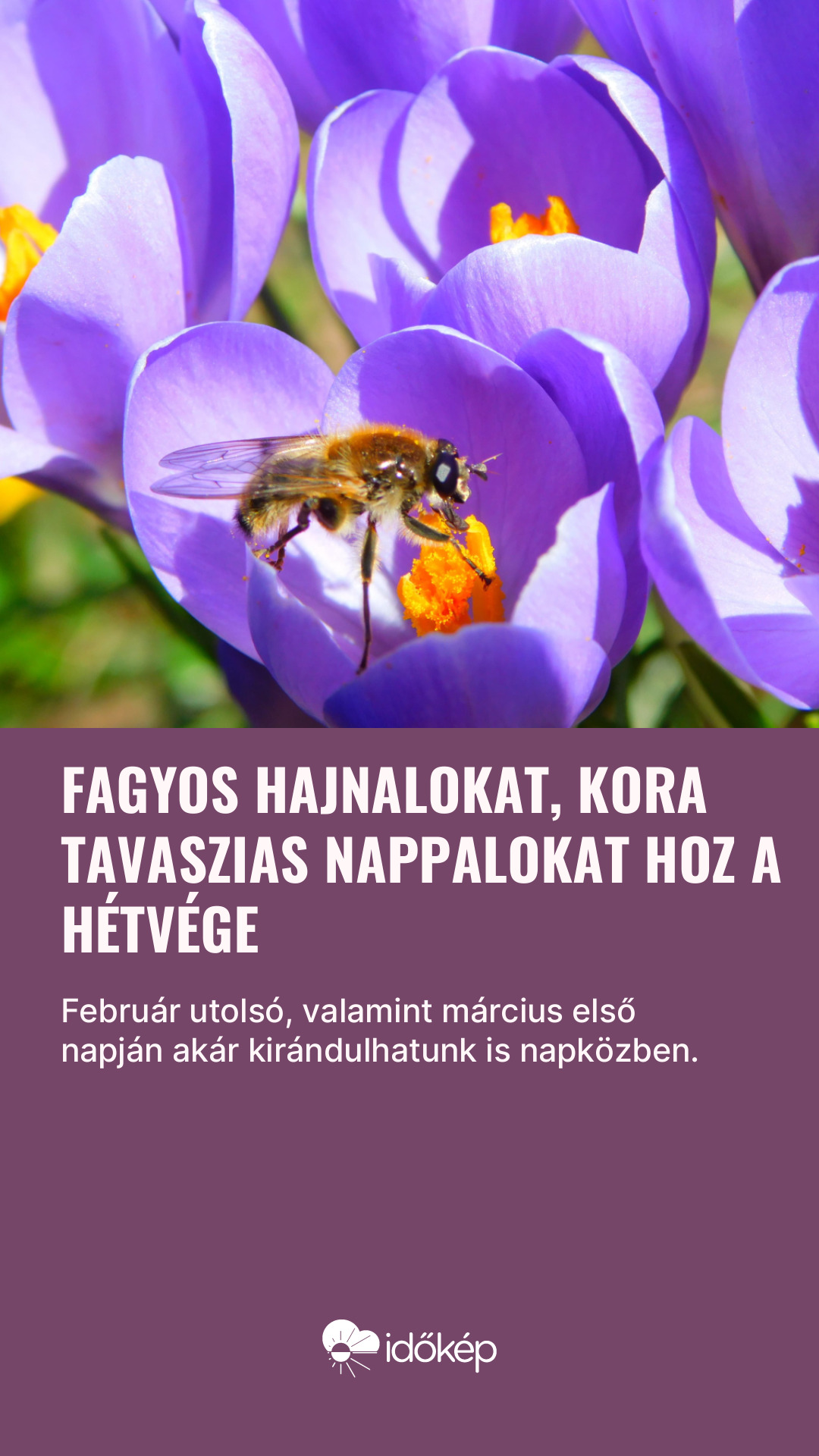Fagyos hajnalokat, kora tavaszias nappalokat hoz a hétvége