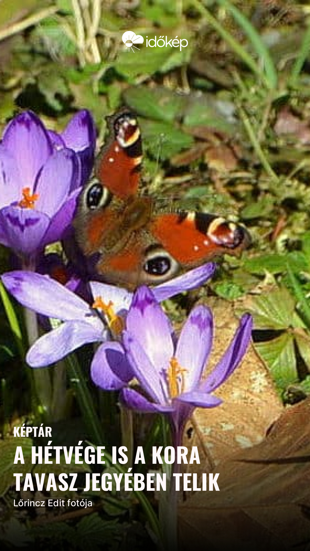 A hétvége is a kora tavasz jegyében telik