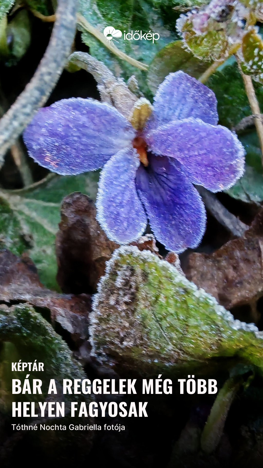 Bár a reggelek még több helyen fagyosak