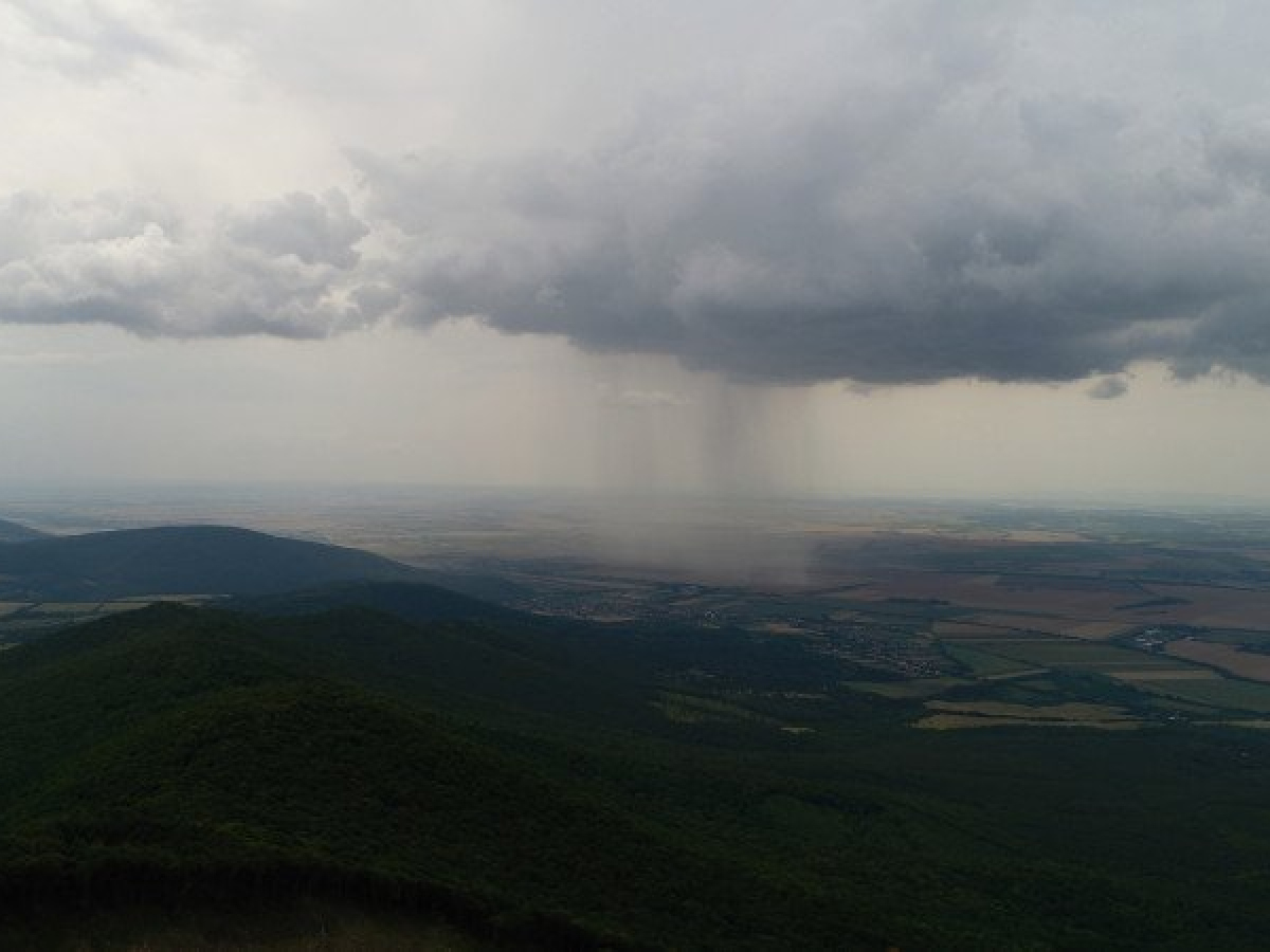 illusztráció