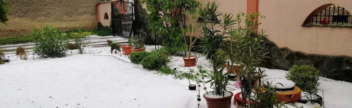 illusztráció