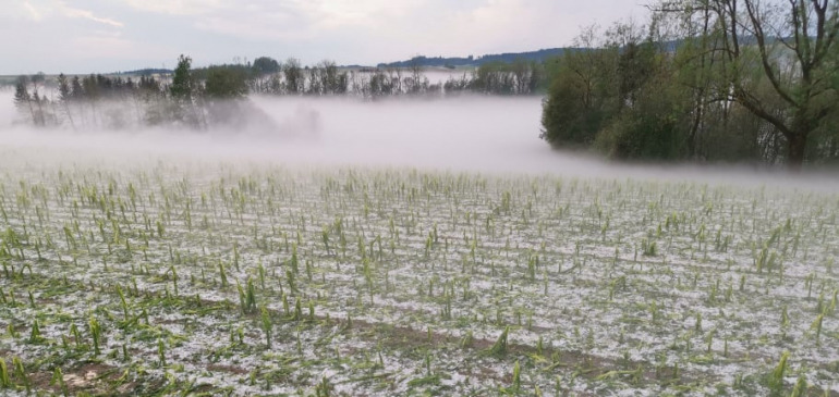 Újabb viharok tépázták Németországot