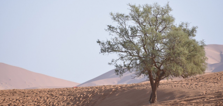 Afrikában is közel 50 fok volt idén először