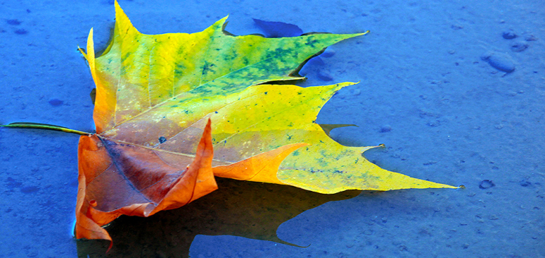Esős idővel indulhat a november