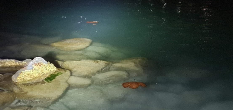 Elkezdett befagyni a Balaton