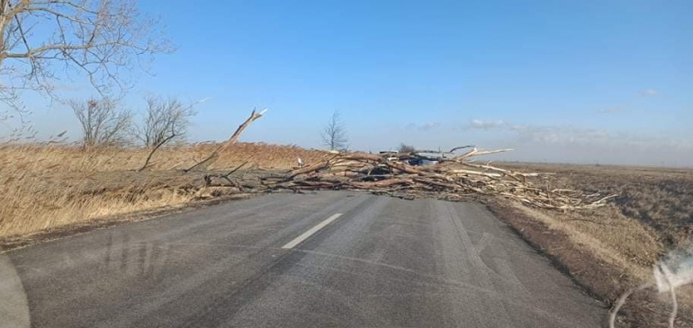 Fákat döntött, tetőket rongált a szélvihar
