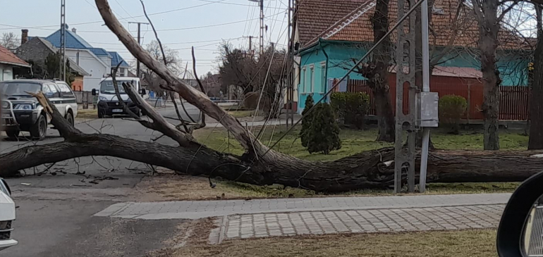 Felkavarta a szélvihar a vasárnapot