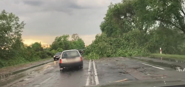 Fákat döntött, tetőket bontott meg a pénteki vihar a középső tájakon is