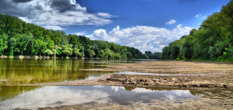 Rekord alacsonyra apadhat a Tisza