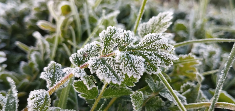 -5 fok volt a Nyírségben