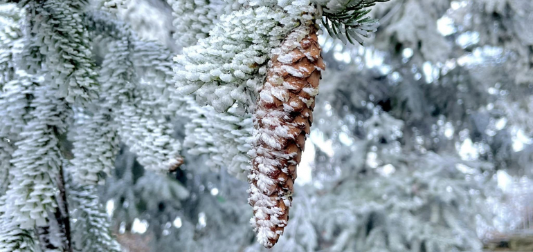 Adventi hangulat a Mátrában