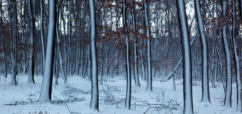 -15 fok is lehet a havas északi tájakon kedd és szerda hajnalban