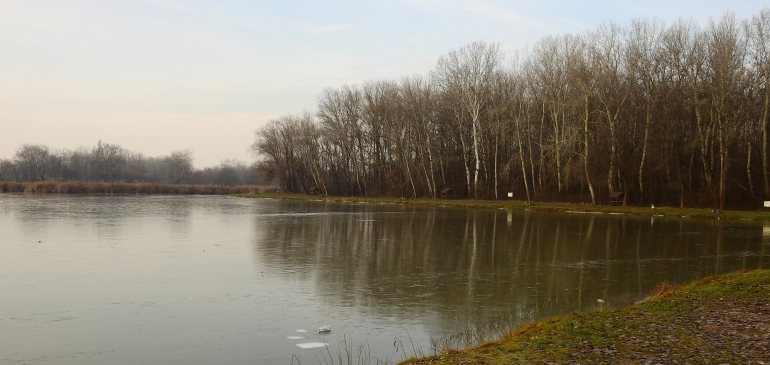 Árad a Tisza Tiszalöknél (videó) 