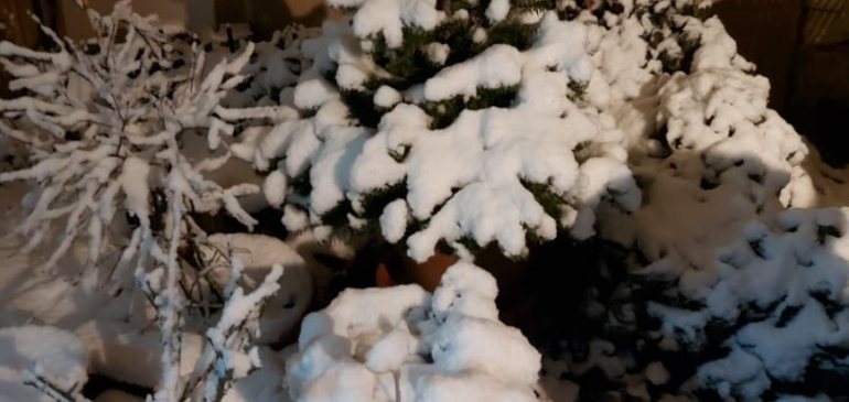 10 centis hó hullott Debrecenben