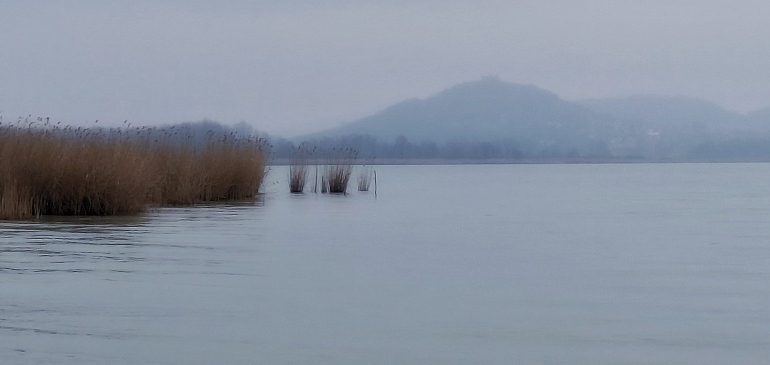 Pénteken volt a téli Balaton-átúszás