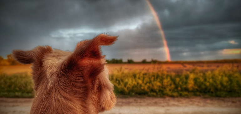 Újra beindul az időjárás