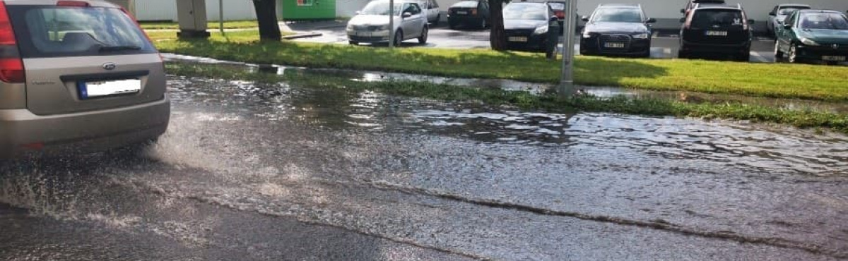 illusztráció