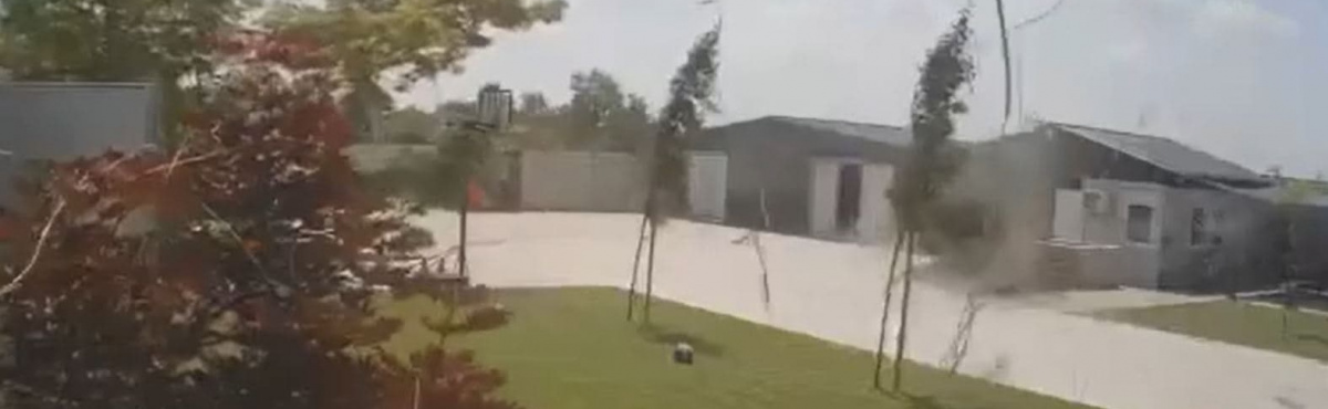 illusztráció