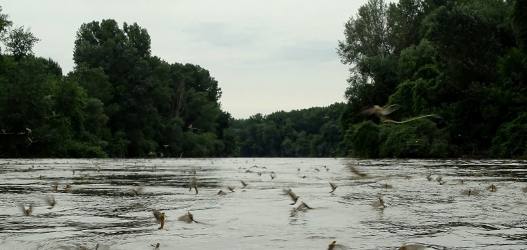 kapcsolódó tartalom