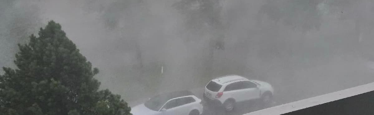 illusztráció