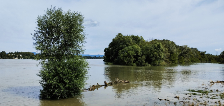 8 nap alatt két és fél métert emelkedett a Duna vízszintje Budapesten