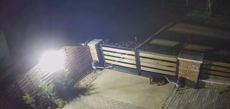 Videókon a vasárnap hajnali földrengés