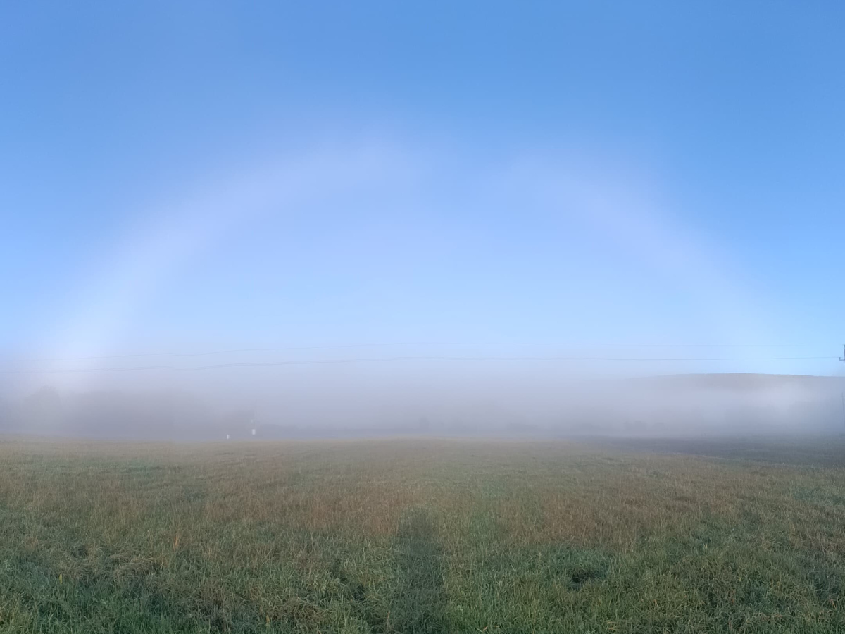 illusztráció