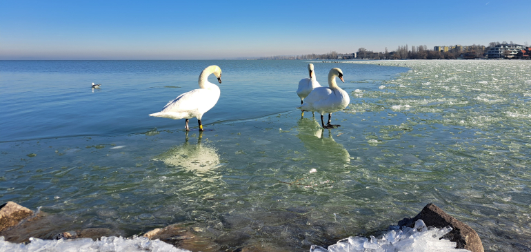 Hatalmas jégtáblát tépett le a szél a Balatonról