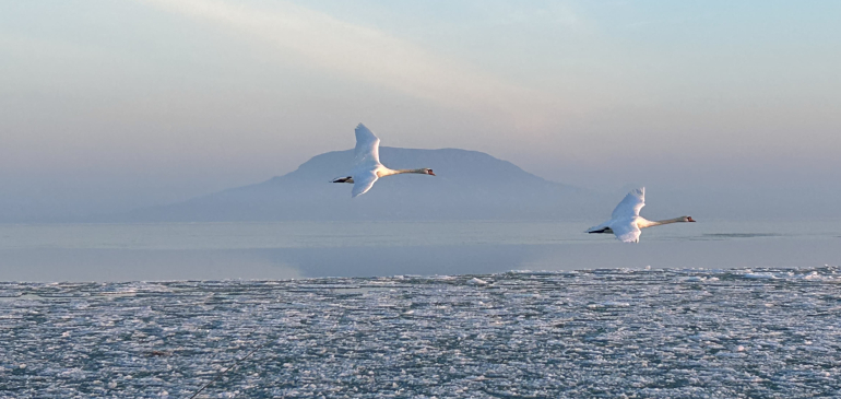 Csak lassan olvadozik a Balaton jege a január végi napsütésben