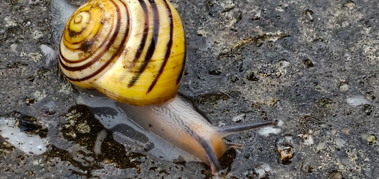 Felettünk pörgött a ciklon
