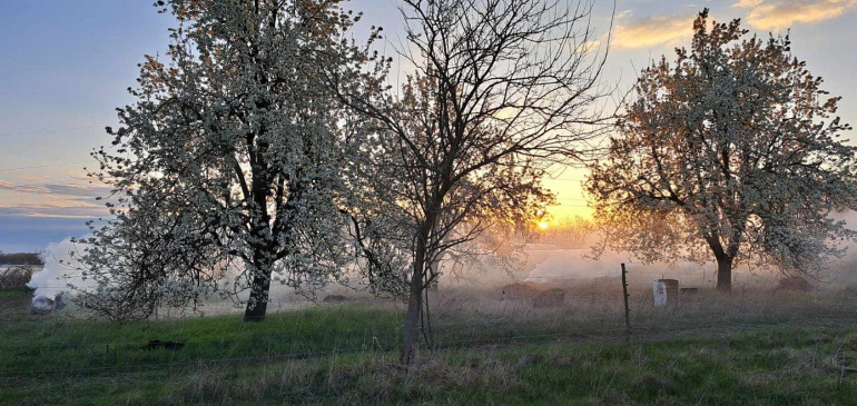 kapcsolódó tartalom