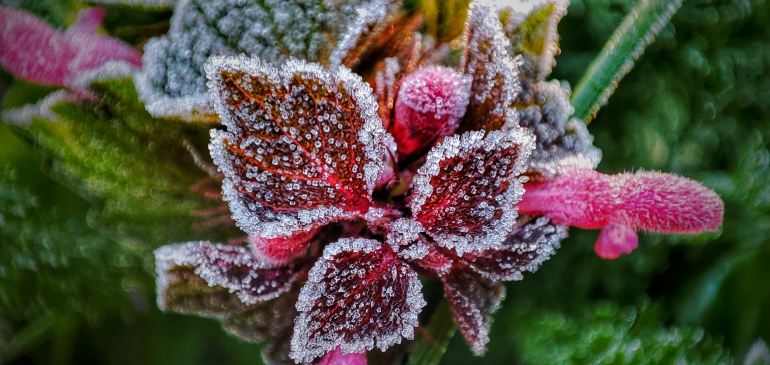 -2, -3 fok lesz holnap reggel északon