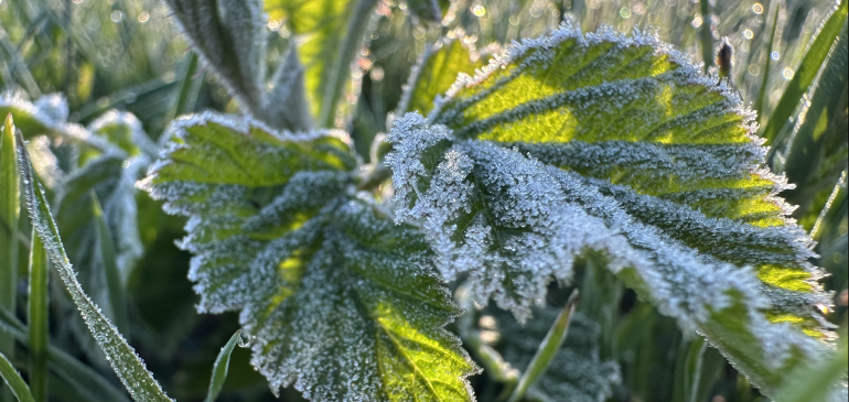 -3 fok volt a leghidegebb péntek reggel