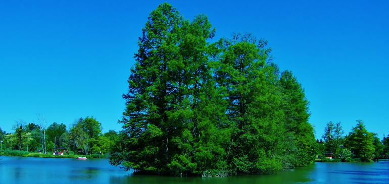 Szerdáig marad a kora nyár, szép időben majálisozhatunk