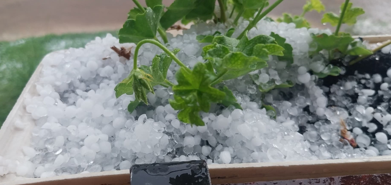 Kiadós jeget kapott a nyakába északkelet