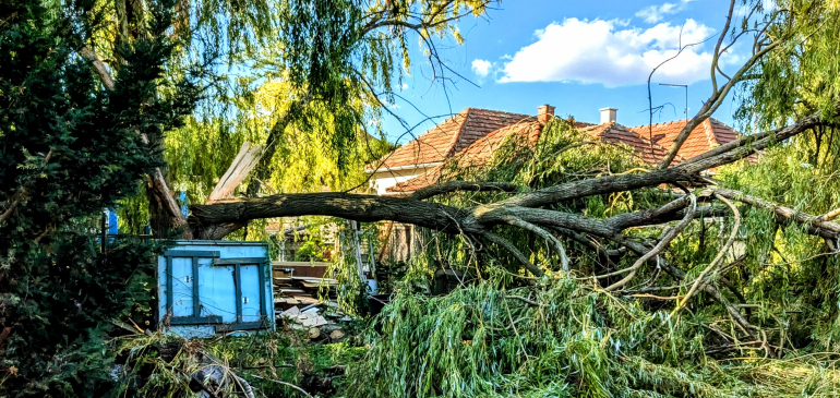 A Dunántúlon fákat tört ki a szél, délkelet kiadós esőt kapott